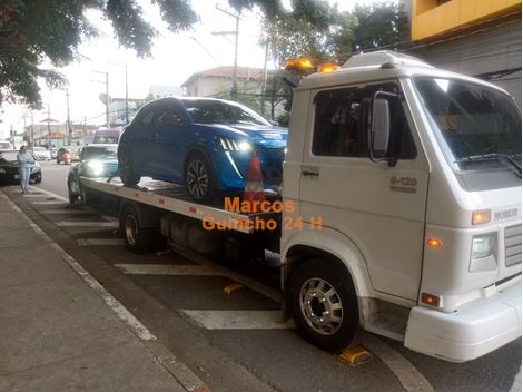 Guincho no jardim Vaz de Lima 